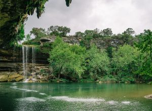 Dripping Springs Pest Control Company