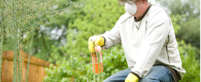 A man using preventative pest control
