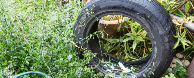 unused tire