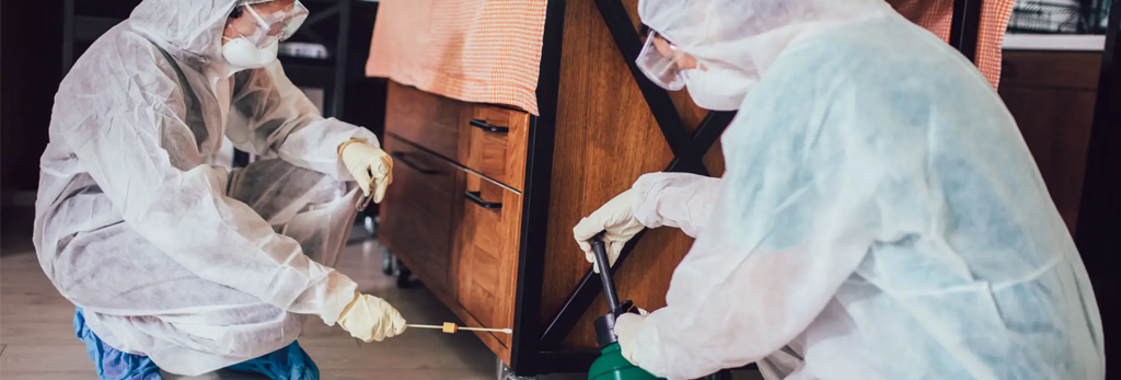 bed bug control