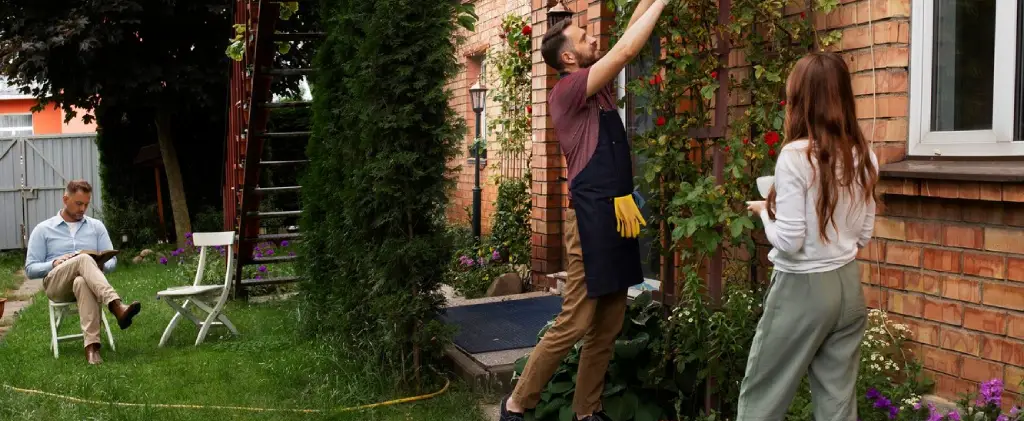 pest free yard